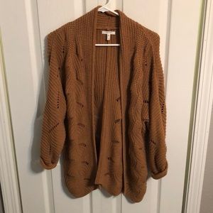 Maurice’s cardigan